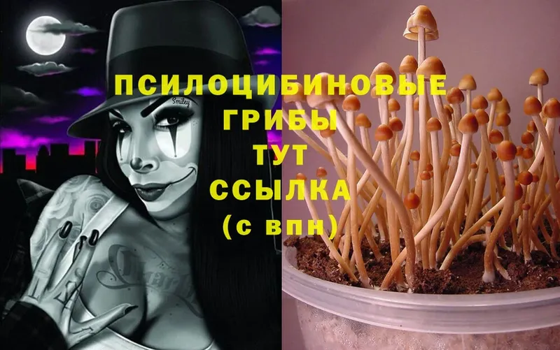 мориарти наркотические препараты  Краснообск  Галлюциногенные грибы Cubensis  blacksprut ONION 